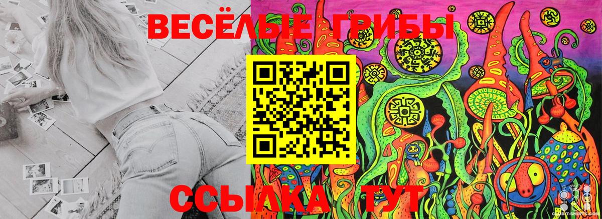 Галлюциногенные грибы GOLDEN TEACHER Реж