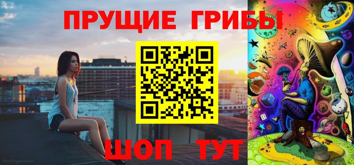 Реж  Галлюциногенные грибы Psilocybe  Вход с VPN 